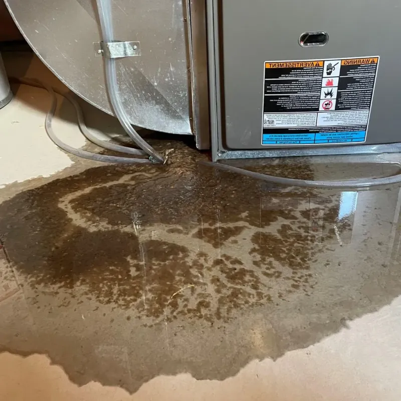 Pipe Burst and Leak Restoration in Fairfax, OK